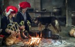 local-life-sapa