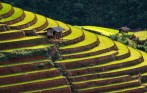 mu_cang_chai_tour