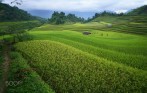 northern_vietnam_package_tour