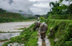 people_in_sapa