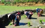 private-trekking-sapa