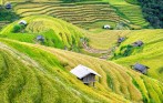 sa_pa_tour_hang_ngay