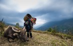 sapa-tour