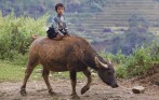 sapa_ethnic_tour