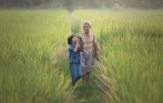 sapa_field