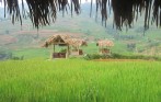 sapa_hard_Trekking_tour