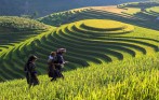 sapa_trekking_tour