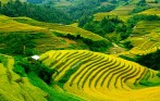 sapa_trekking_tour_funny_Travel