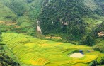 sapa_valley