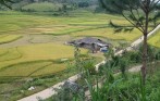 sapa_village