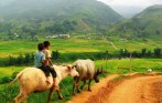 tavanvillage