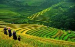 tour_sa_pa_2-ngay_1_dem