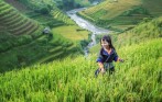 travel_to_sapa