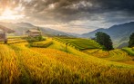 vietnam_luxury_authentic_tour