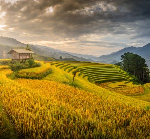 Sài Gòn/ Cần Thơ - Hà Nội - Sa Pa - Hà Giang - Ninh Bình 6 Ngày 5 Đêm