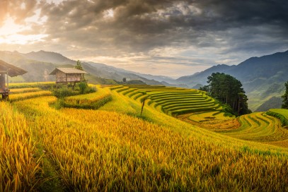 Sài Gòn/ Cần Thơ - Hà Nội - Sa Pa - Hà Giang - Ninh Bình 6 Ngày 5 Đêm