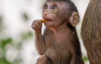 funny_travel_vietnam_tour