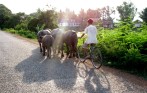off_the_beaten_track_of_cambodia