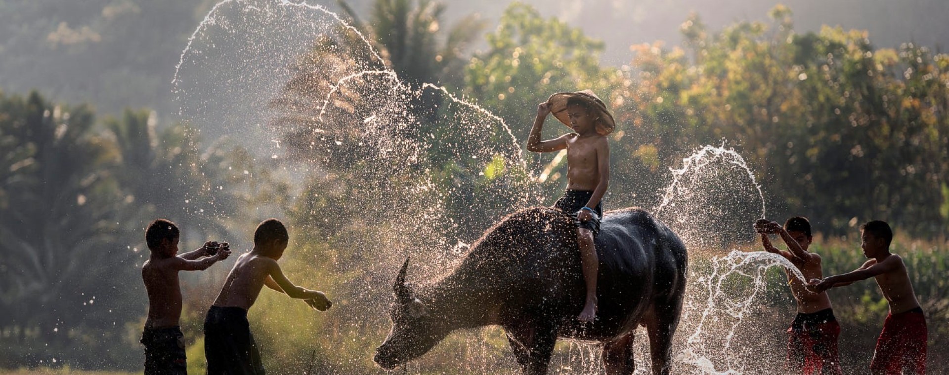 Image slider
