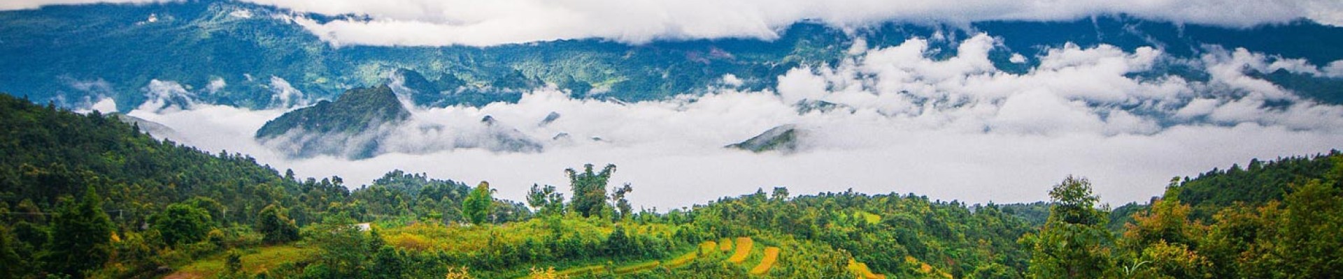 Lai Chau