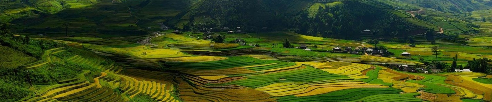 Sapa