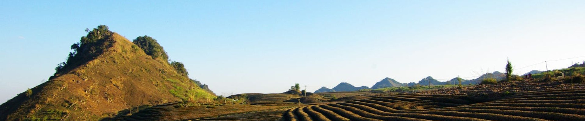 Pleiku