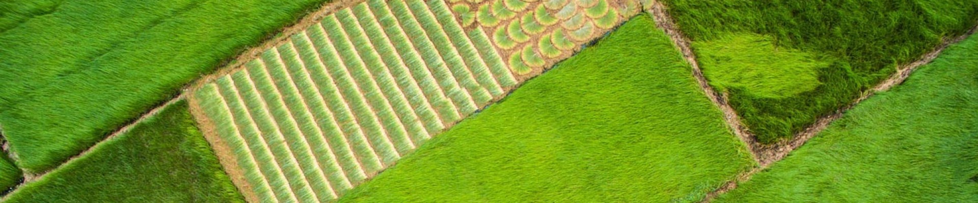Tra Vinh