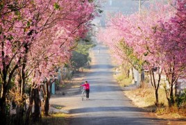 Dalat