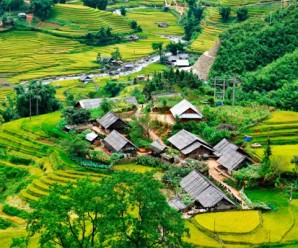 Traditions honor the dead in Vietnam