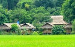 hoa-binh-1