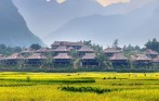 hoa-binh-2