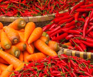 Áp dụng công nghệ trong công ty du lịch