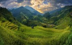Rice-fields-on-terraced-of-Mu-Cang-Chai