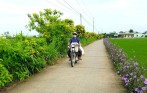 Enjoy fresh air