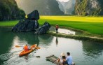 Rice paddy fields