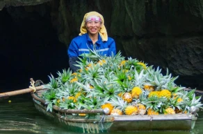 Authentic Nothern Vietnam Highlights: 5 Days in Hanoi, Ninh Binh & Halong Bay