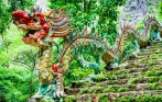 Dragon - Mua Cave