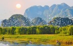 Tam Coc River