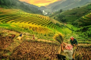 Misty Highlands & Emerald Bays: A 6-Day Journey through Northern Vietnam