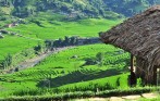 Village