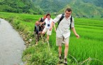 Our tourists