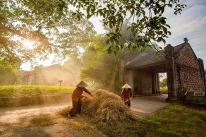By Car : Hanoi Traditional Villages (6 Hours Tour)